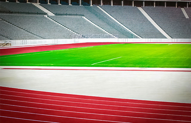 文化・スポーツ活動